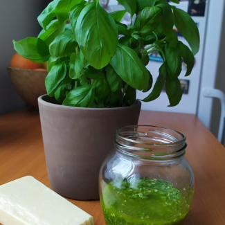 BAZALKOVÉ PESTO